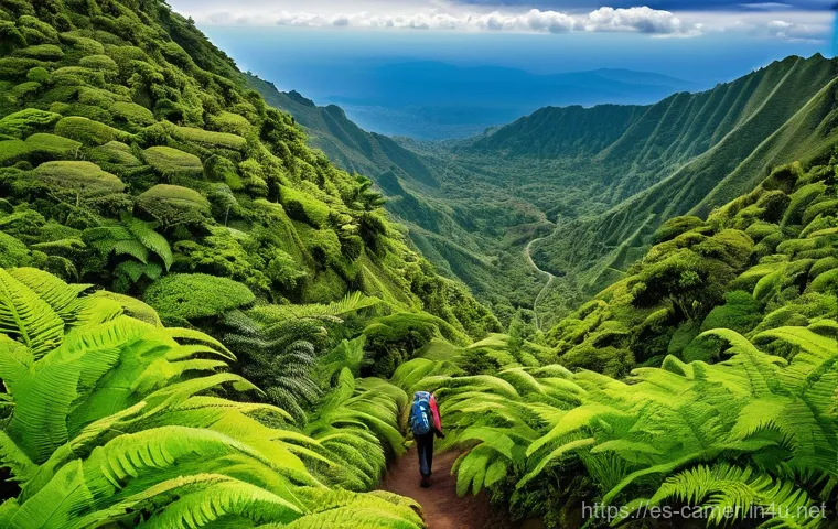 카메룬 보야 지역의 역사적 명소 - **Prompt 2: Vibrant Bakweri Market Scene**
"A bustling and colorful scene inside the main market... 카메룬 보야 지역의 역사적 명소 - **Prompt 2: Vibrant Bakweri Market Scene**
"A bustling and colorful scene inside the main market...