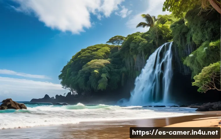 Camerún a tu alcance: La guía infalible para conseguir tu visa sin sorpresas 3 카메룬 비자 신청 방법 관련 이미지 1